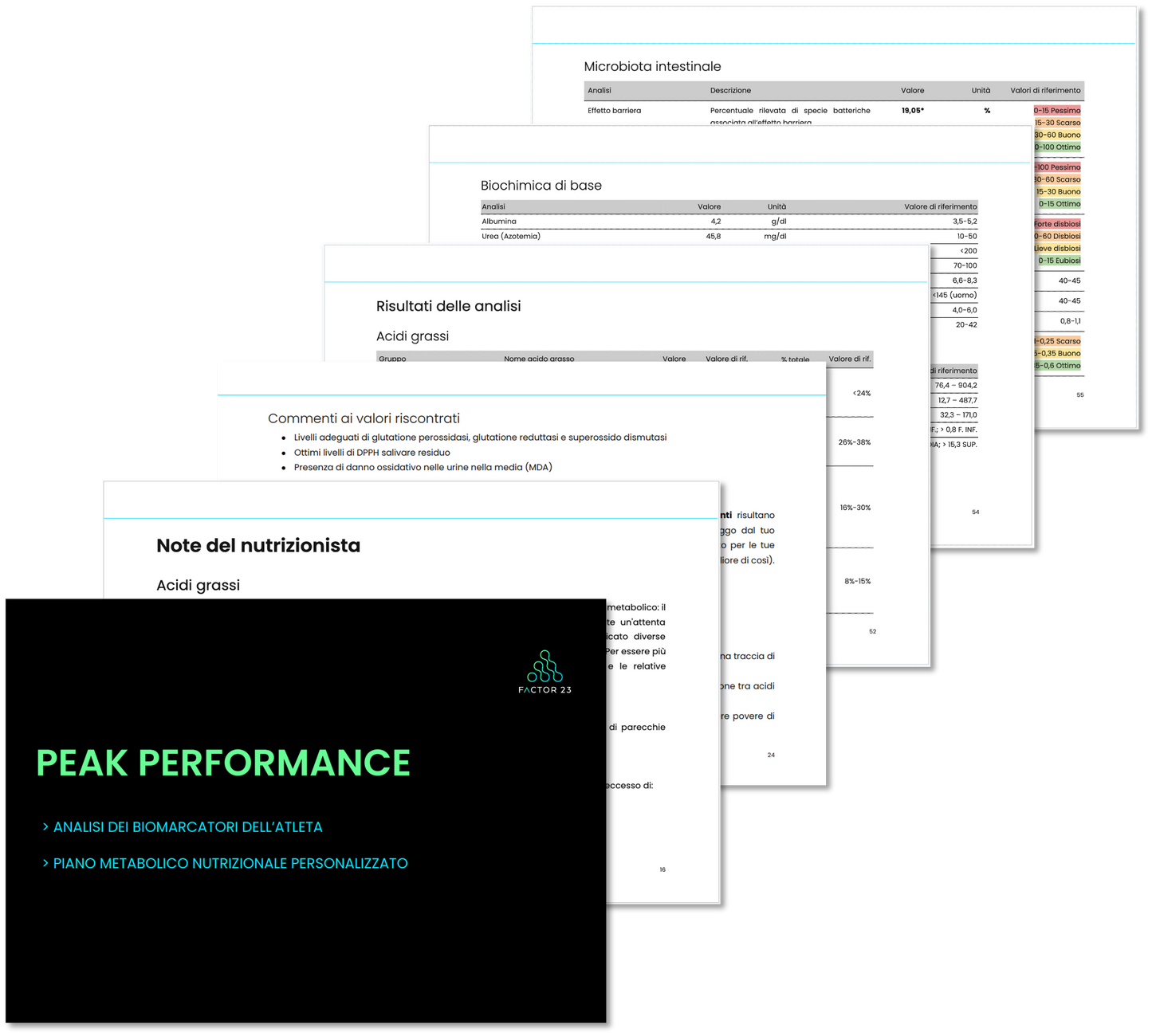 PEAK PERFORMANCE